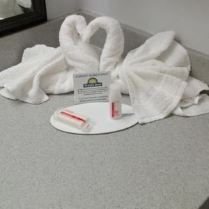 Meet your Posher, Tammy